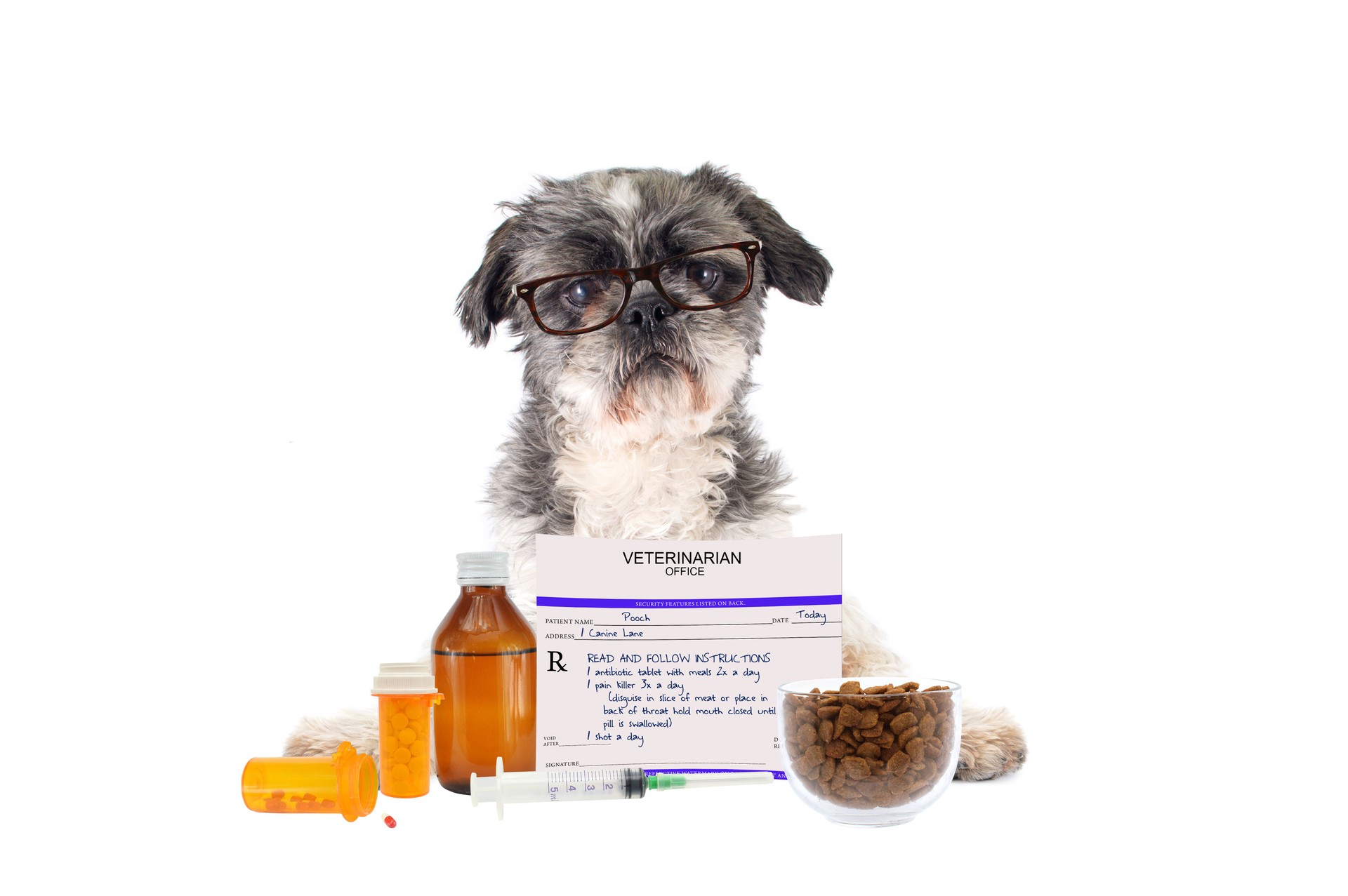 Dog with Medicine